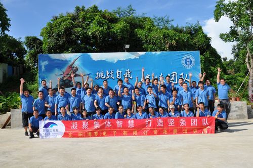 东阳（博罗）电子有限公司